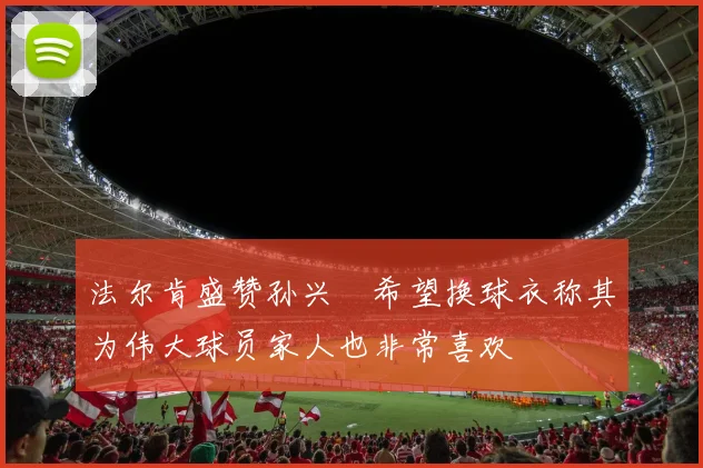 法尔肯盛赞孙兴慜希望换球衣称其为伟大球员家人也非常喜欢