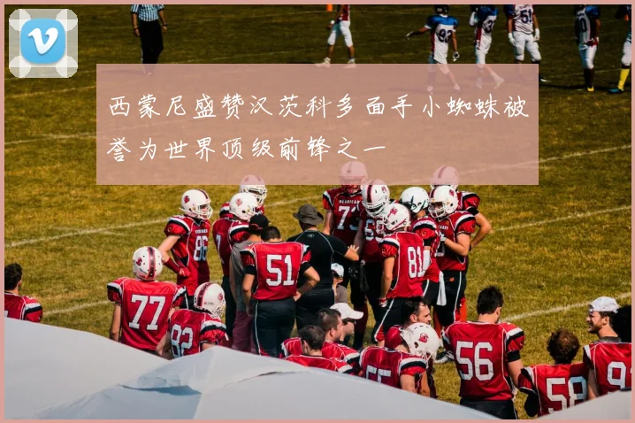 西蒙尼盛赞汉茨科多面手小蜘蛛被誉为世界顶级前锋之一