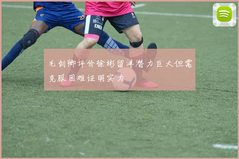 毛剑卿评价徐彬留洋潜力巨大但需克服困难证明实力