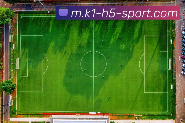 k1体育平台生态图